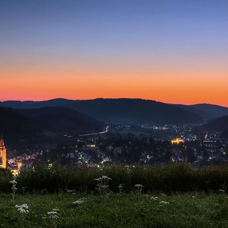 Drei Tannen - Wohnung 12 - Apartmenthaus, Titisee, Nahe Badeparadies Esterno foto