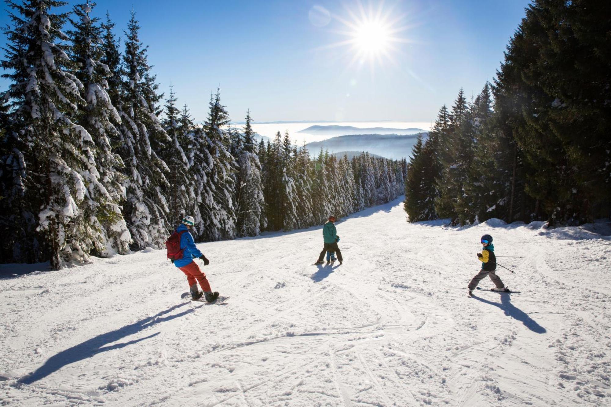 Drei Tannen - Wohnung 12 - Apartmenthaus, Titisee, Nahe Badeparadies Esterno foto