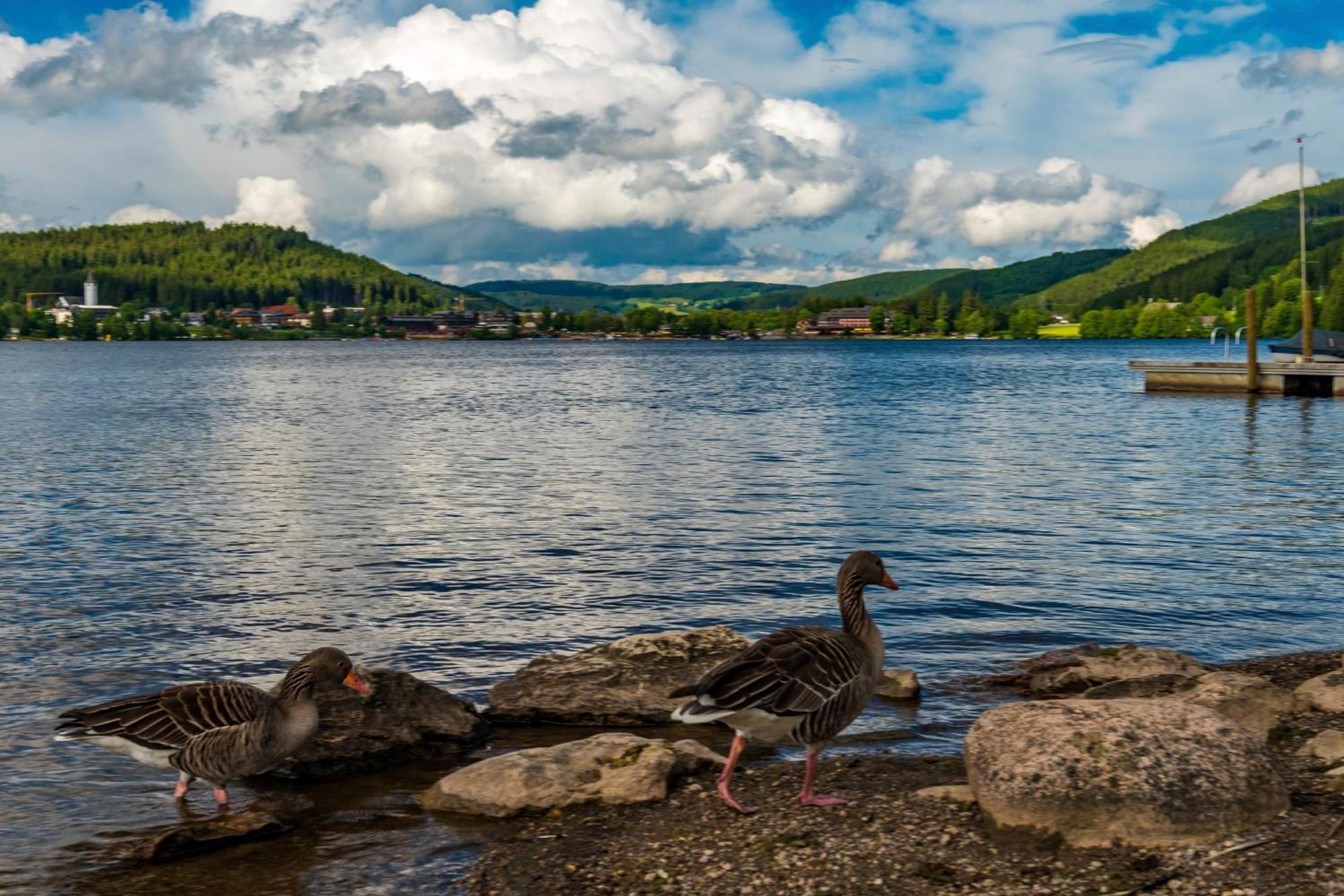 Drei Tannen - Wohnung 12 - Apartmenthaus, Titisee, Nahe Badeparadies Esterno foto