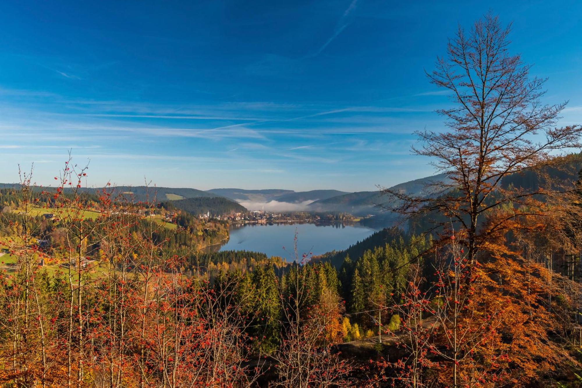 Drei Tannen - Wohnung 12 - Apartmenthaus, Titisee, Nahe Badeparadies Esterno foto